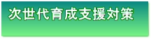 次世代育成支援対策について